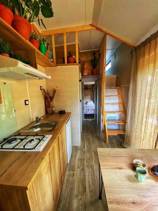 Tiny Liloumaca Coeur Ste Baume Villa Plan d'Aups Dış mekan fotoğraf